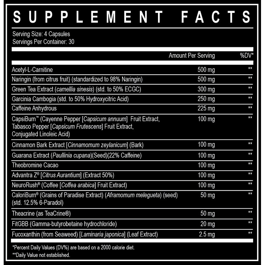 SHRED // High-Stim Fat Burner Enhanced Labs NTS Newtown Supplement Store Sydney