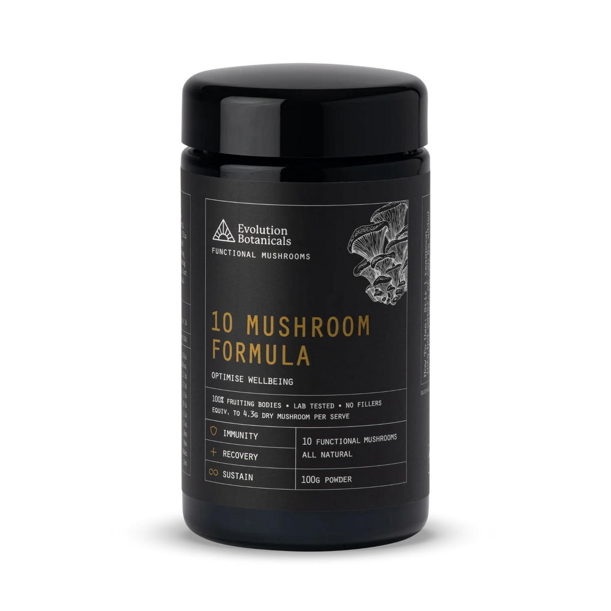 10 Mushroom Formula // 10 Functional Mushrooms 100g Poweder