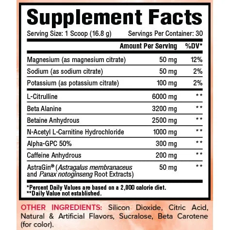 Core ESSENTIAL PRE / 30 Servings Core Nutritionals NTS Newtown Supplement Store Sydney