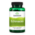 Echinacea 400mg // Immune Health Swanson NTS Newtown Supplement Store Sydney