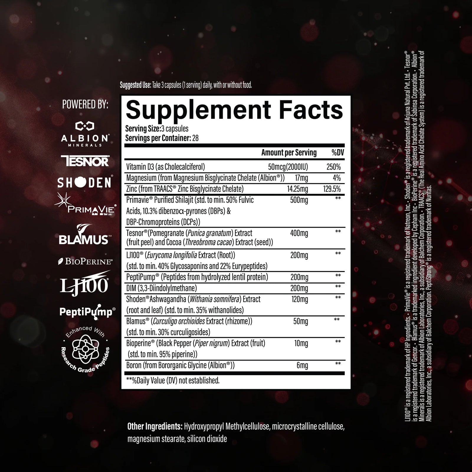 INFINIS // INFINI-TEST (T37) Infinis Nutrition NTS Newtown Supplement Store Sydney