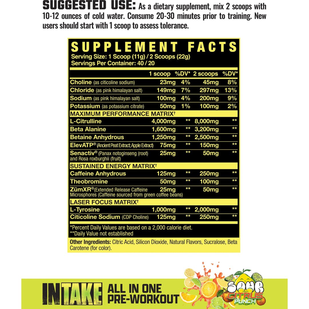 INTAKE // All In One Pre-Workout (20/40 Servings) Axe &amp; Sledge NTS Newtown Supplement Store Sydney