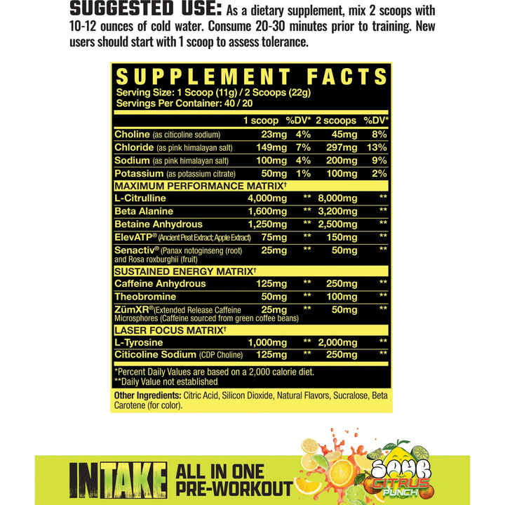 INTAKE // All In One Pre-Workout (20/40 Servings) Axe &amp; Sledge NTS Newtown Supplement Store Sydney