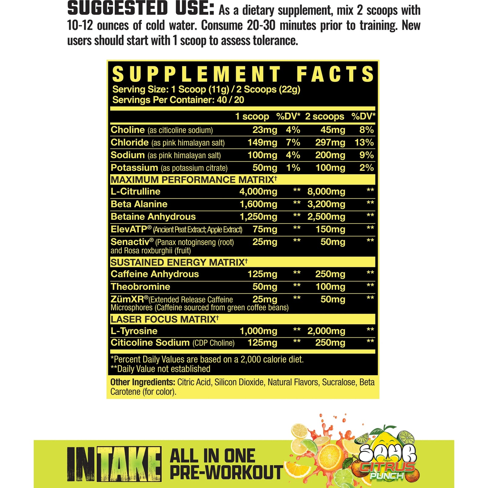 INTAKE // All In One Pre-Workout (20/40 Servings) Axe & Sledge NTS Newtown Supplement Store Sydney