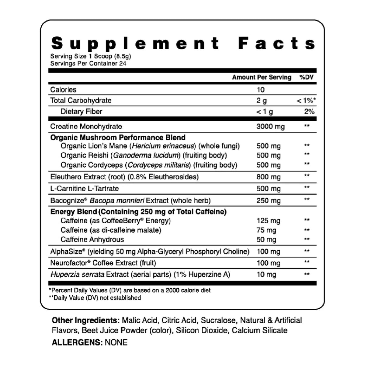 KINETIC // Mushroom-Enhanced Pre-Workout Ambrosia NTS Newtown Supplement Store Sydney