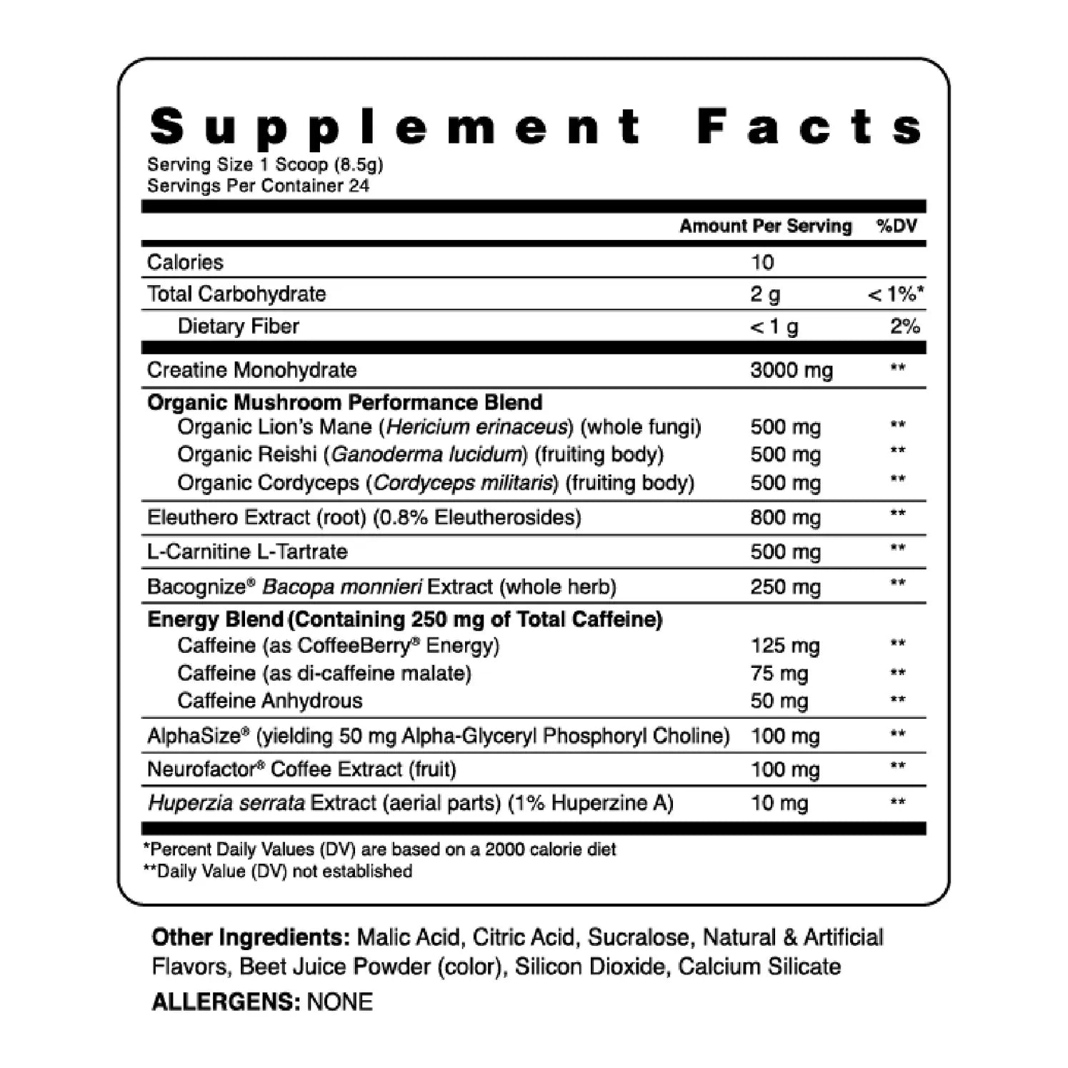 KINETIC // Mushroom-Enhanced Pre-Workout Ambrosia NTS Newtown Supplement Store Sydney