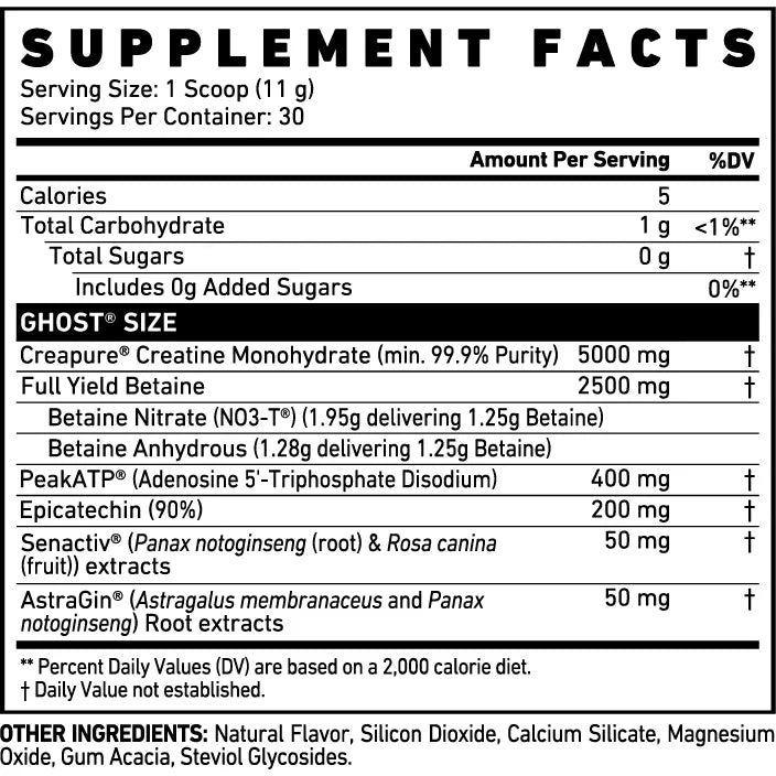 Size V3 // Creatine Formula 30 Serves GHOST NTS Newtown Supplement Store Sydney