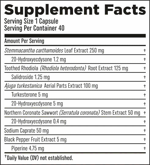 Turk Builder Platinum // Premium Multi-Botanical Ecdysteroid Formula HTLT NTS Newtown Supplement Store Sydney