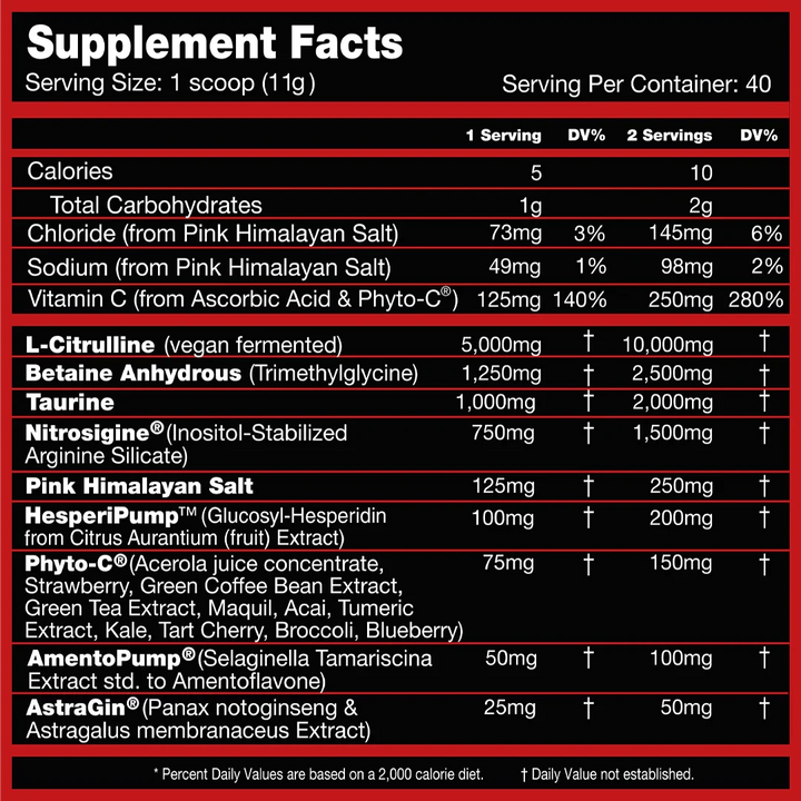 VASO GRAND Pre Max // Maximum Pump &amp; Fullness Matrix (40 Servings) PerforMax Labs NTS Newtown Supplement Store Sydney