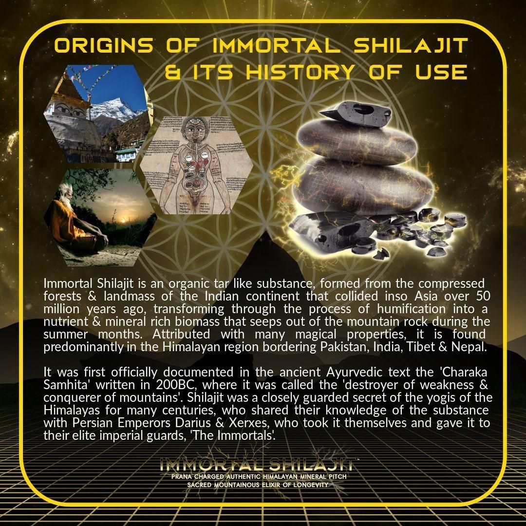 Primal Alchemy // Immortal Shilajit // Prana Charged Himalayan Mineral Resin Primal Alchemy NTS Newtown Supplement Store Sydney