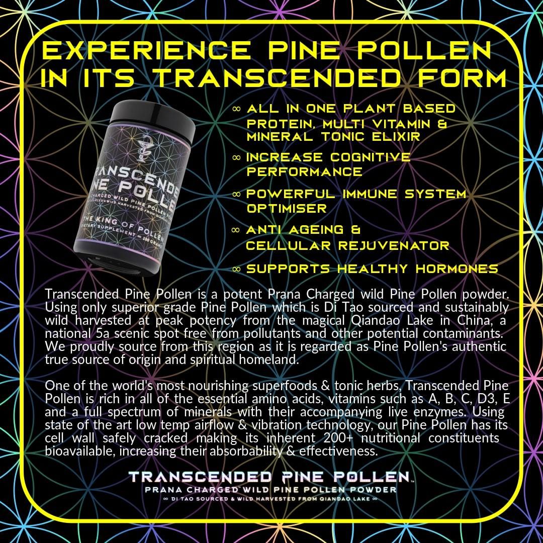 Primal Alchemy // Transcended Pine Pollen // Hormone Optimiser Primal Alchemy 100g NTS Newtown Supplement Store Sydney